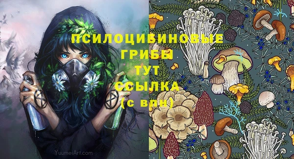 гидра Алексеевка