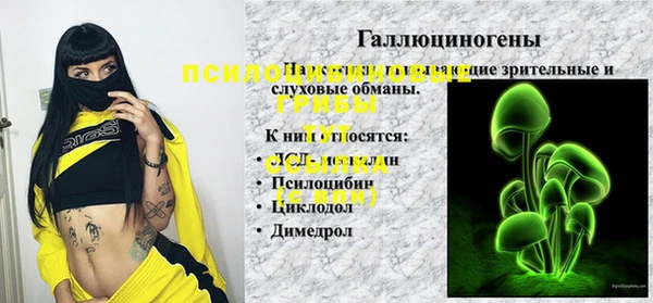 гашик Алзамай