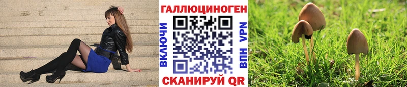 Галлюциногенные грибы мухоморы где купить наркоту Чадан