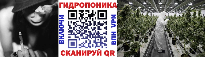 MEGA маркетплейс  Чадан  Бошки марихуана семена  даркнет сайт 
